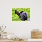 トルコのクローズアップ ポスター (キッチン)