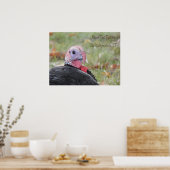 トルコのケビン – 旧湿地 ポスター (キッチン)