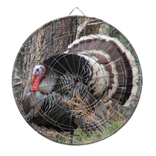 トルコのダーツボードを打つ ダーツボード (正面)