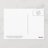 トルコのハゲタカ写真はがき ポストカード (裏面)