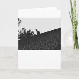 トルコのハゲワシのシルエット、カード カード