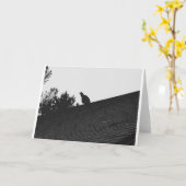 トルコのハゲワシのシルエット、カード カード (黄色い花)