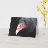 トルコのハゲワシ写真 カード (黄色い花)