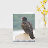 トルコのハゲワシ柄 カード (黄色い花)