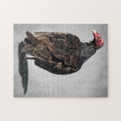 トルコのハゲワシ ジグソーパズル (横)