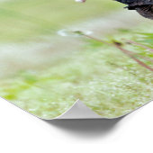 トルコのハゲワシ ポスター (角)