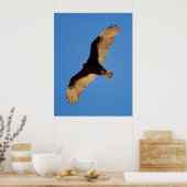 トルコのハゲワシ ポスター (キッチン)