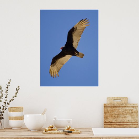 トルコのハゲワシ ポスター (キッチン)