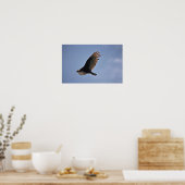 トルコのハゲワシ ポスター (キッチン)