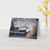 トルコのバンはあなたの祝誕生日に準備ができている カード (黄色い花)