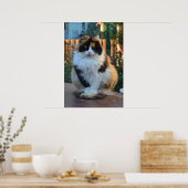 トルコのバン ポスター (キッチン)