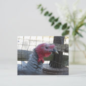 トルコのプロフィール ポストカード (スタンド正面)