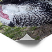 トルコのポスタープリント ポスター (角)