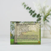 トルコのミートボールキャセロール葉書 ポストカード (スタンド正面)