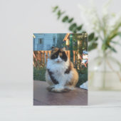 トルコのヴァン ポストカード (スタンド正面)