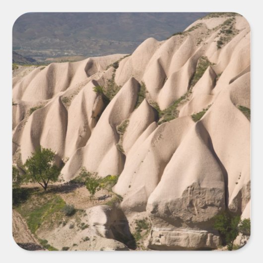 トルコの中東中央部 スクエアシール (正面)