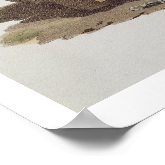 トルコの兵士、'様々なナントのコスチュームから ポスター (角)