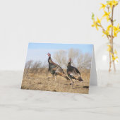 トルコの地平線 カード (黄色い花)