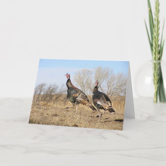 トルコの地平線 カード (正面)