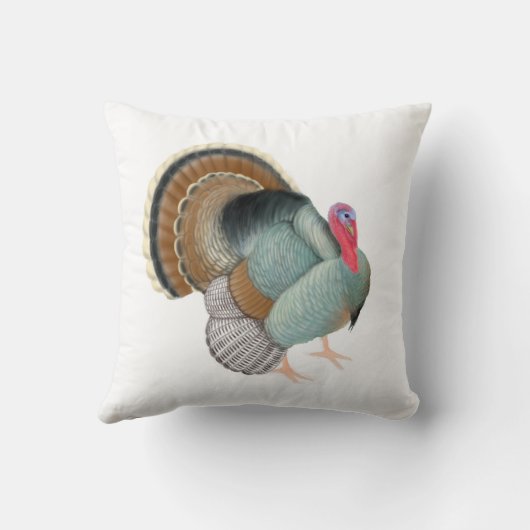 トルコの大きい野生の枕 クッション (裏面)