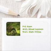 トルコの宛名ラベル ラベル (インサイチュ)