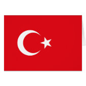 トルコの旗 (正面横)
