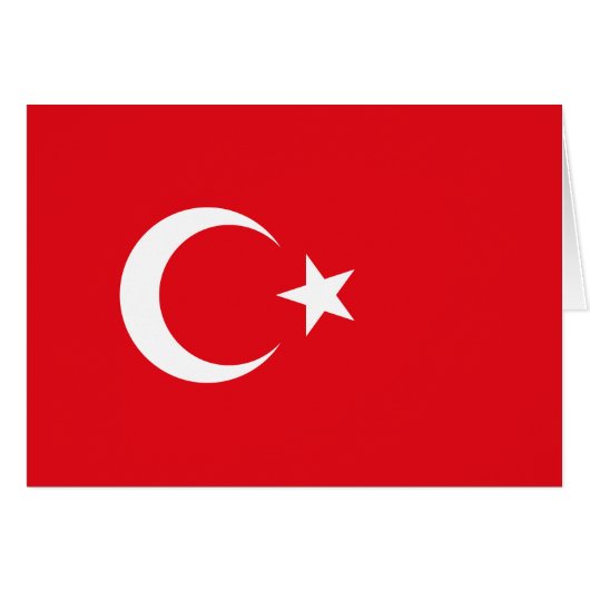トルコの旗 (正面横)