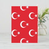 トルコの旗 セーブザデート (スタンド正面)