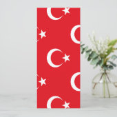 トルコの旗 セーブザデート (スタンド正面)