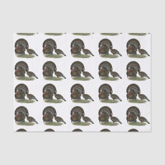 トルコの標準の青銅 薄葉紙 (正面)