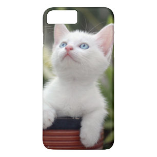 トルコの白い子ネコ iPhone 8 PLUS/7 PLUSケース