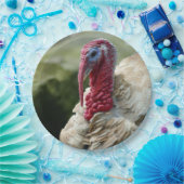 トルコの白い頭のプロフィール写真 ペーパープレート (パーティー)