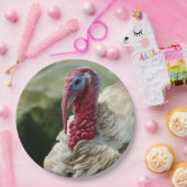 トルコの白い頭のプロフィール写真 ペーパープレート (パーティー)