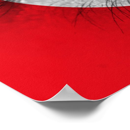 トルコの目 ポスター (角)