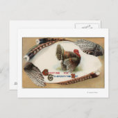 トルコの羽 ポストカード (正面/裏面)