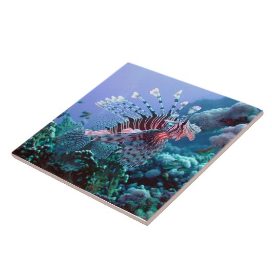 トルコの魚のタイル タイル (側面)