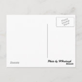 トルコはがき1 ポストカード (裏面)