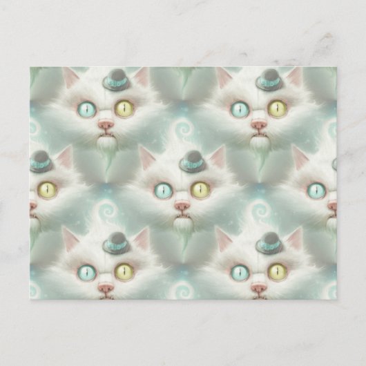 トルコアンゴラ ポストカード (正面)