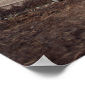 トルコカッコいい写真を撮った西洋女性のカーボーイ ポスター (角)