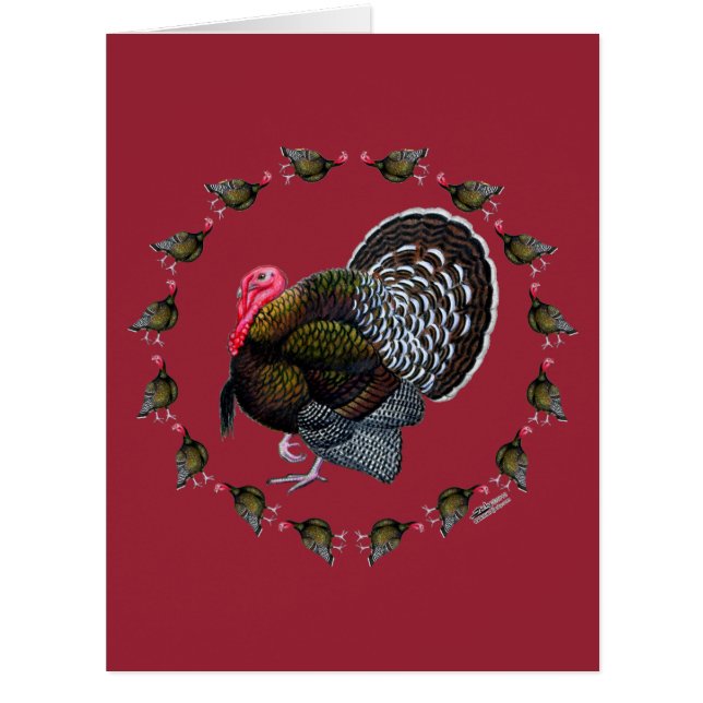 トルコ円 (正面)