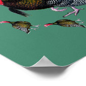 トルコ円 ポスター (角)