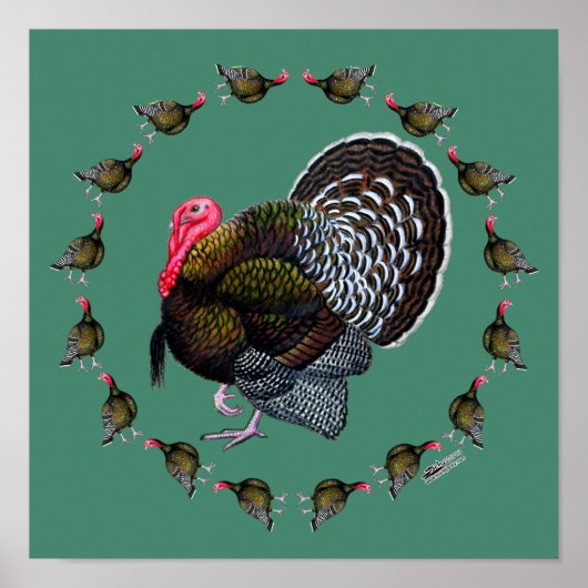 トルコ円 ポスター (正面)