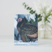 トルコ冬はがき ポストカード (スタンド正面)