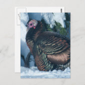 トルコ冬はがき ポストカード (正面/裏面)