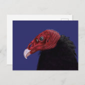 トルコ図解入りの、写真付きのハゲワシ二音 ポストカード (正面/裏面)