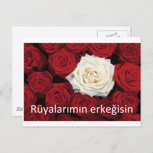トルコ愛「あなたは私の夢の男」 ポストカード (正面/裏面)