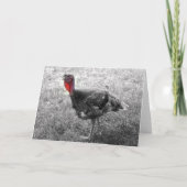 トルコ感謝祭のユーモア シーズンカード (裏面)