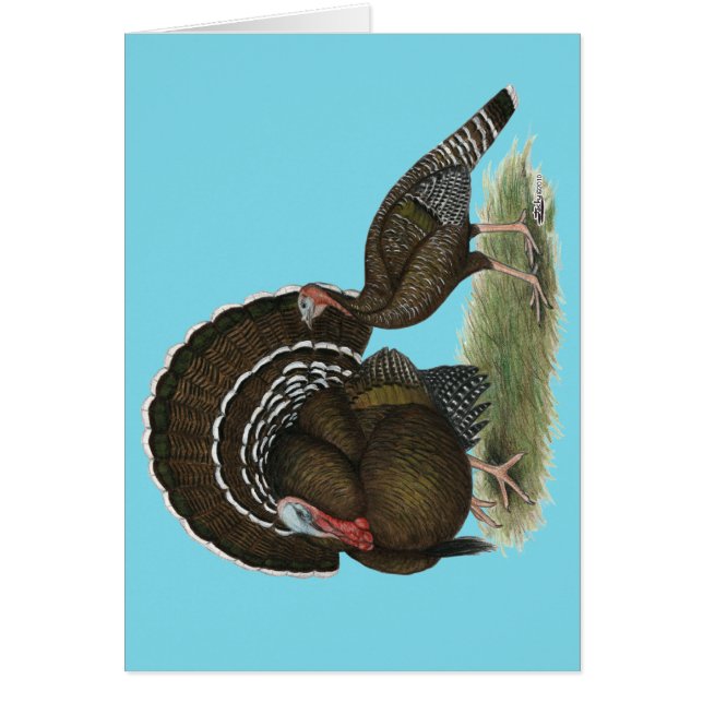 トルコ標準青銅 (正面)