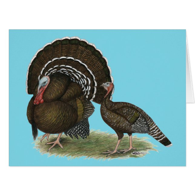 トルコ標準青銅 (正面横)