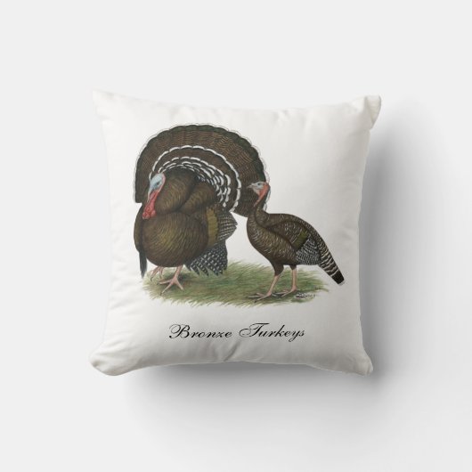 トルコ標準青銅 クッション (正面)